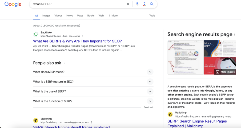 SERP example